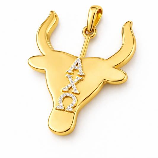 Game Day Couture: Alpha Chi Omega