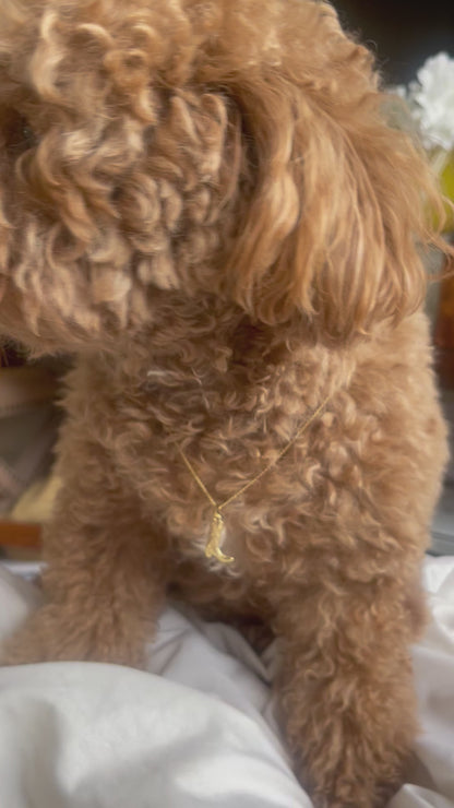 Oscar model 14k Boot